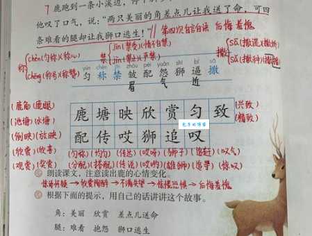 一篇文章搞定“鹿”字：鹿怎么读？鹿字拼音、组词，简单易懂！
