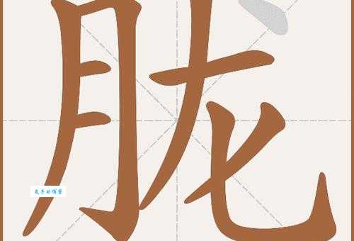 轻松学会胧字的读音和拼音!胧怎么读?胧字组词有哪些?