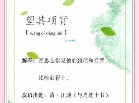 查找望其项背的近义词及例句,快速掌握词语精髓!