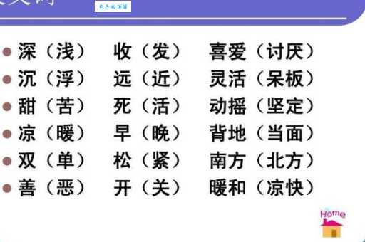 表达喜欢的多种说法:喜欢近义词及例句详解