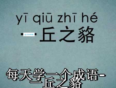 一丘之貉的近义词有哪些?详解常用近义词及区别