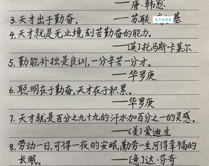写作必备:勤勉的近义词及例句,提升文章表达力