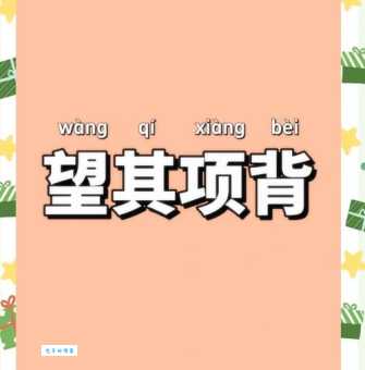 “望其项背”的近义词是什么?有哪些相似表达?