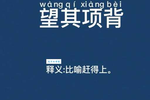 “望其项背”的近义词是什么?有哪些相似表达?