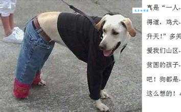 道貌岸然的反义词是什么?实用例句帮你理解