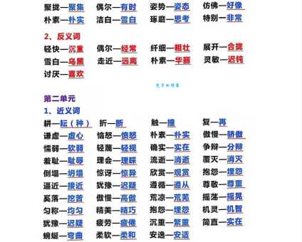 一文读懂“特别”:近义词、反义词及实际运用