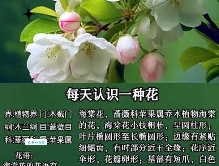 雅俗共赏近义词大盘点,你都认识几个?