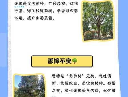 和沁人心脾意思相反的词语有哪些?臭味熏天算吗?