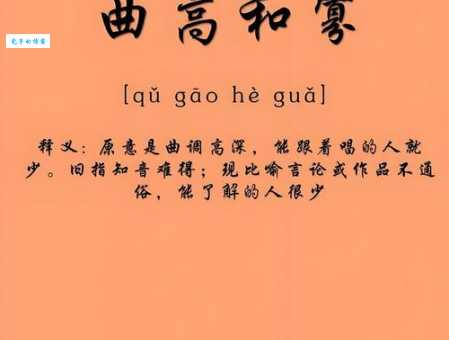 曲高和寡的反义词是什么?教你如何区分这些近义词