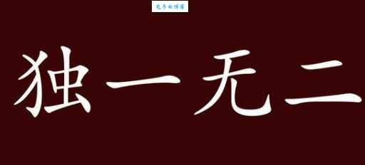 独一无二的近义词有哪些?表达极致的唯一性