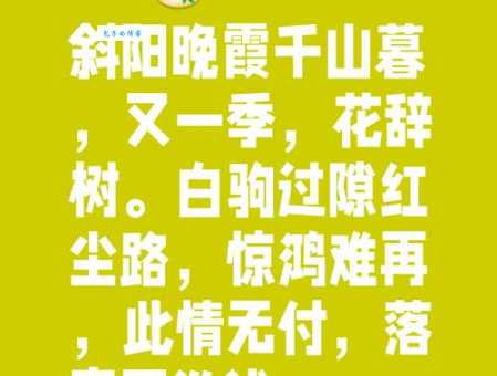 白驹过隙近义词详解:光阴似箭、日月如梭等