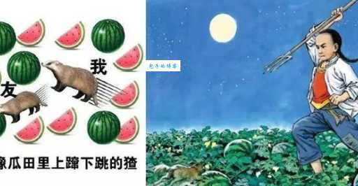 鲁迅笔下的猹怎么读?读音、拼音、组词一次搞定