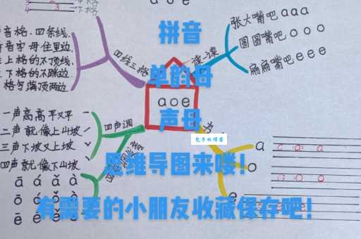 “导”怎么读?“导”字拼音是什么?这里有详细解释和组词练习。