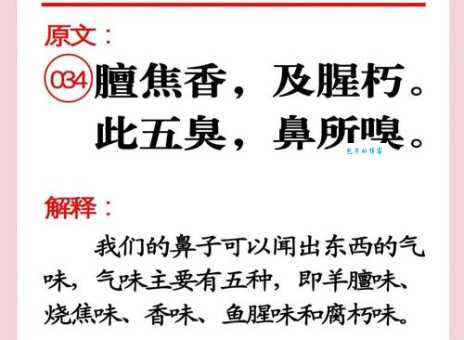 轻松掌握“嗅”字的读音和拼音,并学习“嗅”字的常用组词。