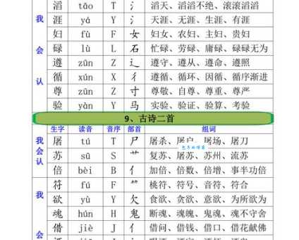 轻松搞定“类”字!详解“类”字的读音、拼音、组词和例句