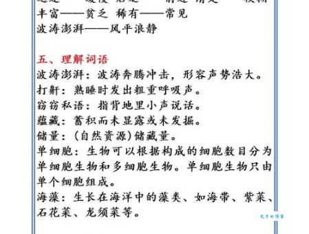 不会读“鲸”字?教你鲸的拼音、读音及相关组词