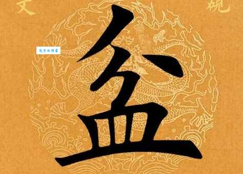 盆字怎么念?盆的拼音怎么写?带盆字的词语有哪些?