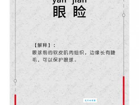 睑怎么读?睑怎么念?睑的拼音是什么?睑字有哪些组词?