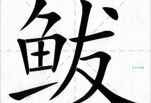 “鲅”字到底怎么读?教你读准鲅字拼音,并学习相关组词