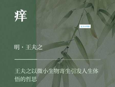 “痒”怎么读?“痒”字拼音、组词及例句详解