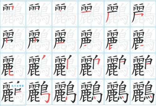 轻松学会读“莺”字!掌握“莺”的拼音、读音以及相关的组词技巧。
