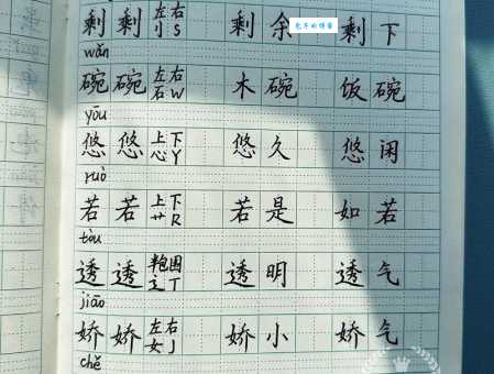 还在为“泡”字发愁?“泡”怎么读?“泡”的拼音和组词,这里都有!