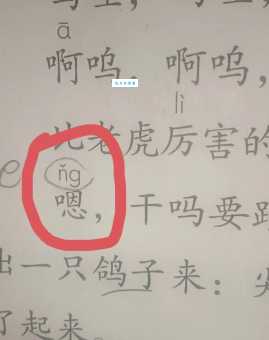 “这”怎么读?“这”的读法和拼音是什么?“这”字可以怎么组词?