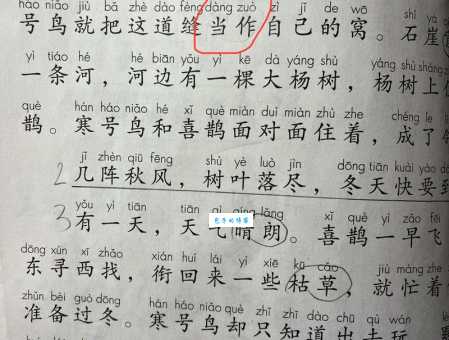 “这”怎么读?“这”的读法和拼音是什么?“这”字可以怎么组词?