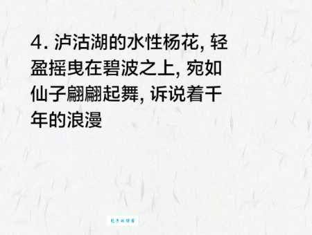 水性杨花是什么意思?教你如何正确理解和使用这个词语