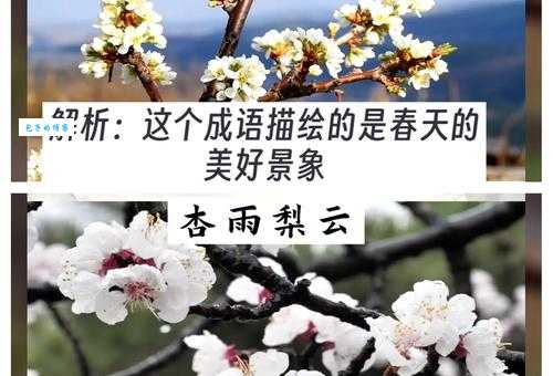 你知道杏雨梨云是什么意思吗?带你了解春天景色