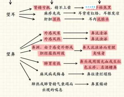 学会望闻问切拼音,轻松了解中医诊断方法