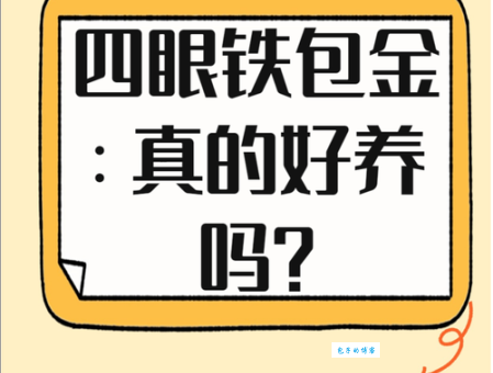 点铁成金的真正含义是什么?教你如何理解和运用