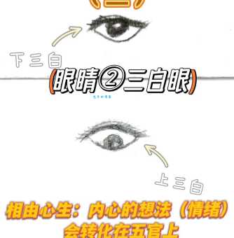 目不转睛是什么意思?看完你就懂了!