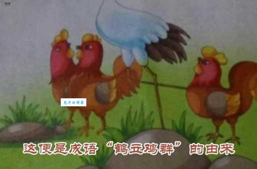 鹤立鸡群是什么意思?如何正确理解和运用这个成语