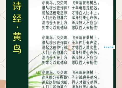 黄发垂髫是什么意思及用法?带你了解这个经典成语