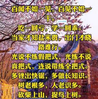 百闻不如一见 百见不如一干的意思