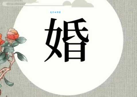 婚是什么意思