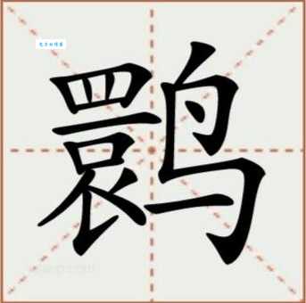 鹮怎么读？鹮的读音和意思