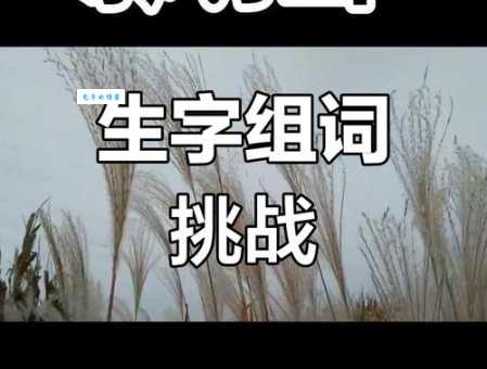 飘组词_飘字组词