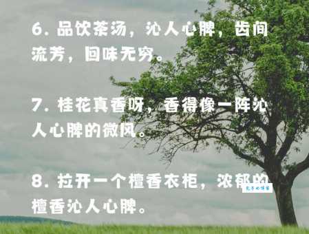 沁人心脾造句