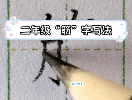 筋组词_筋字组词