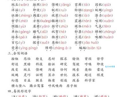 淋的多音字组词信息