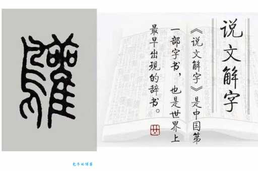 鸷怎么读？鸷的读音和意思