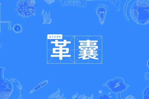 囊是什么意思
