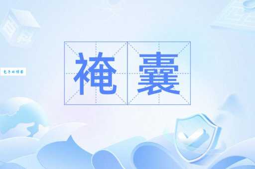 囊是什么意思