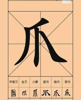 爪的多音字组词信息