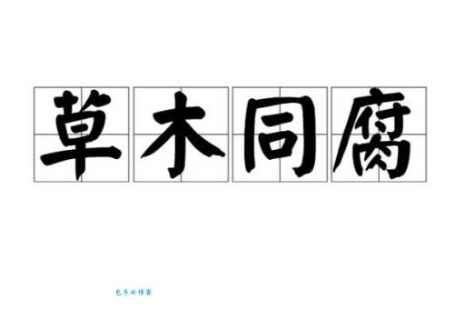 腐是什么意思