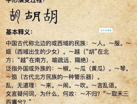 胡是什么意思