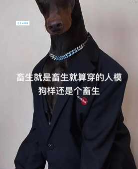 畜是什么意思