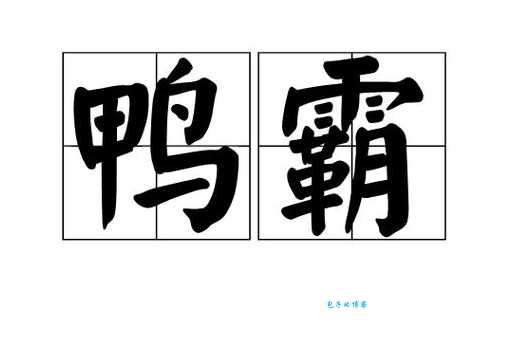 鸭组词_鸭字组词